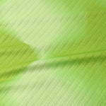 Load image into Gallery viewer, ECO FIATO SLEEVELESS BASE LAYER