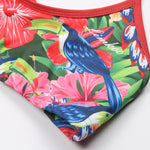 Load image into Gallery viewer, ACQUA ZERO BIKINI SWIM BRA