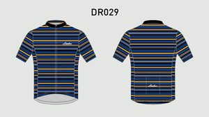 DR029