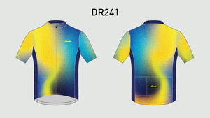 DR241