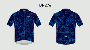 DR276